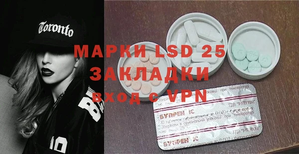 ECSTASY Алзамай