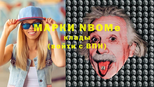 ECSTASY Алзамай