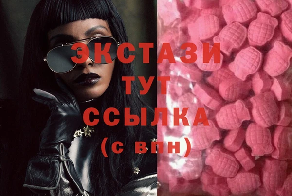 крисы Няндома