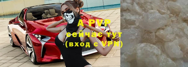 крисы Няндома