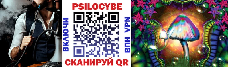 как найти наркотики  Троицк  omg зеркало  Галлюциногенные грибы Psilocybine cubensis 