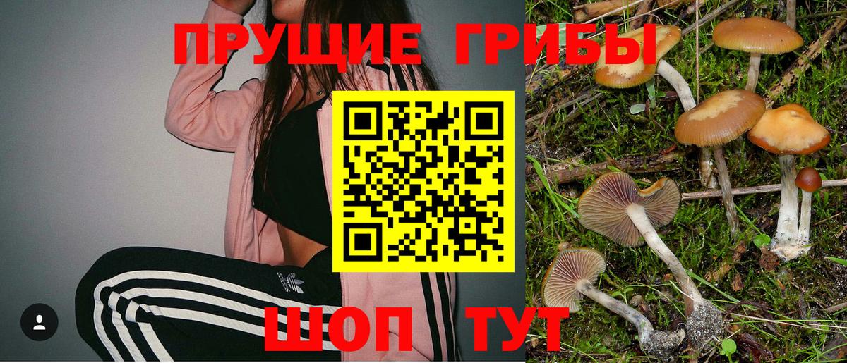 Галлюциногенные грибы Cubensis  Вход с VPN  Троицк 