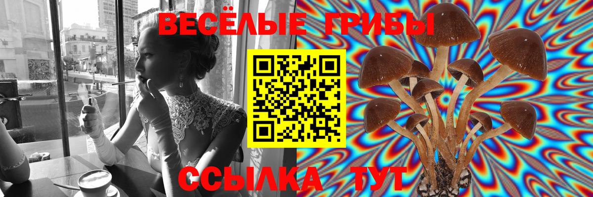 Псилоцибиновые грибы MAGIC MUSHROOMS Троицк